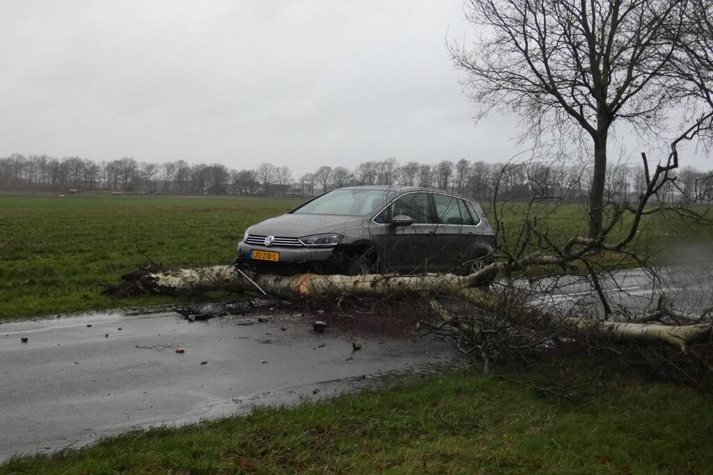 Boom waait om voor rijdende auto