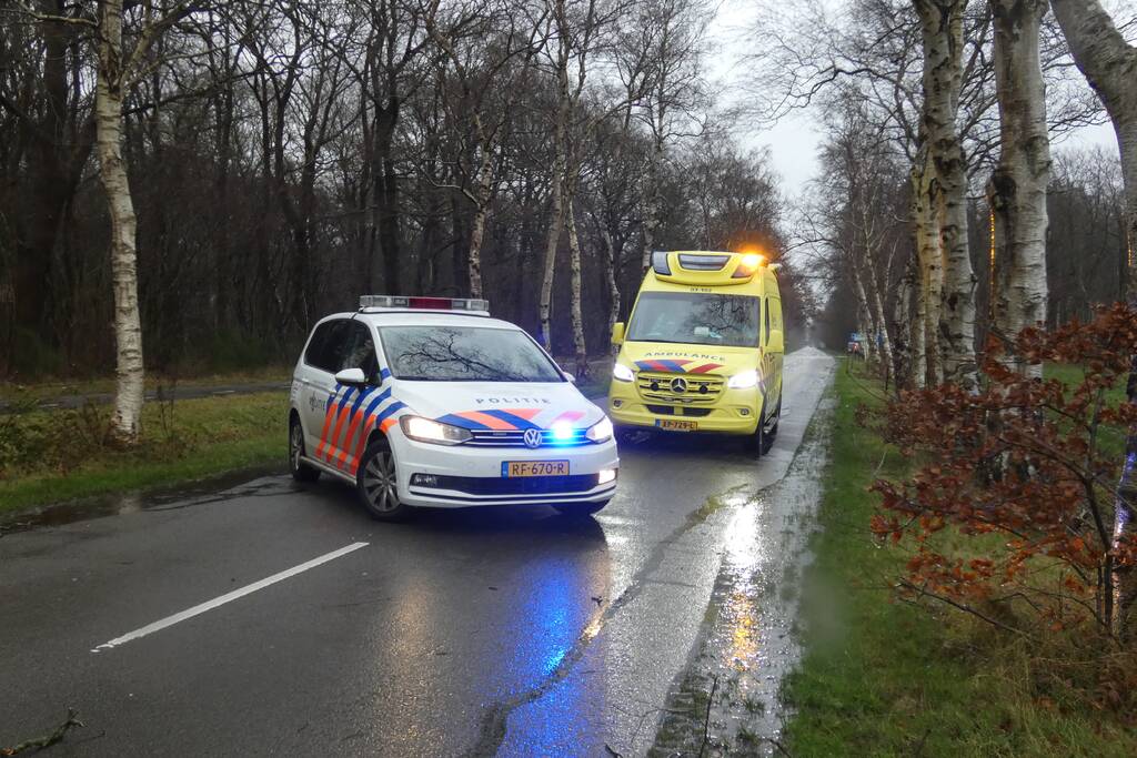 Boom waait om voor rijdende auto