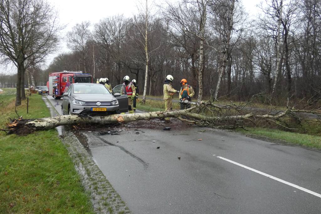 Boom waait om voor rijdende auto