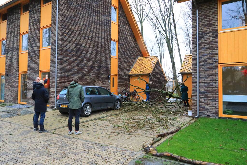 Boom waait om en beschadigt woningen, fietsen en auto