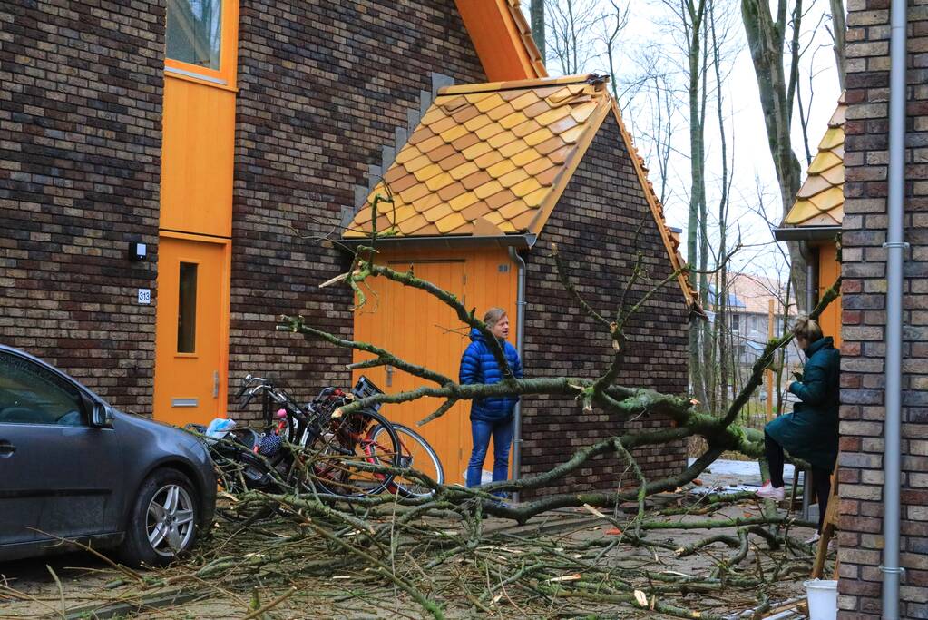 Boom waait om en beschadigt woningen, fietsen en auto