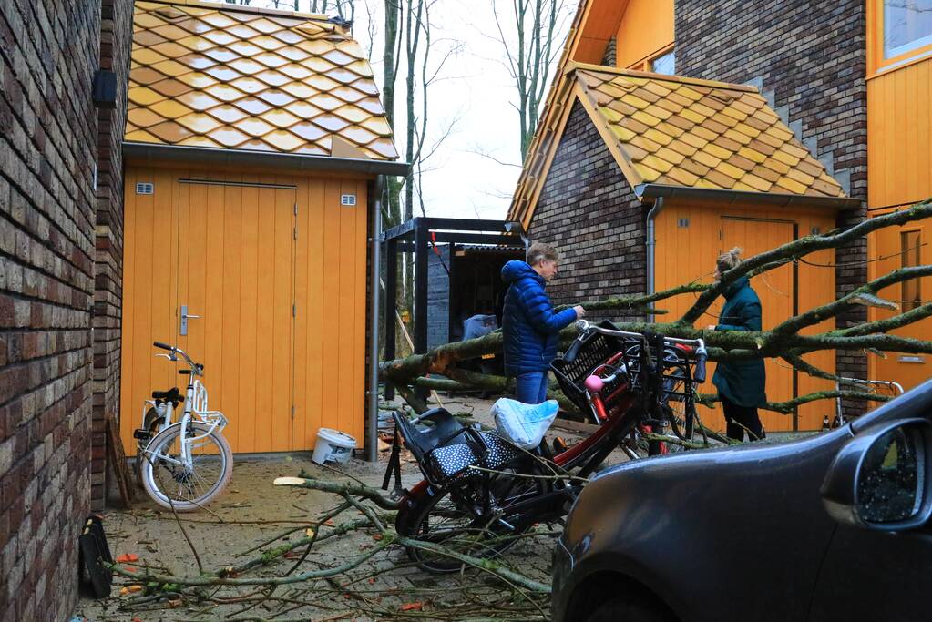 Boom waait om en beschadigt woningen, fietsen en auto
