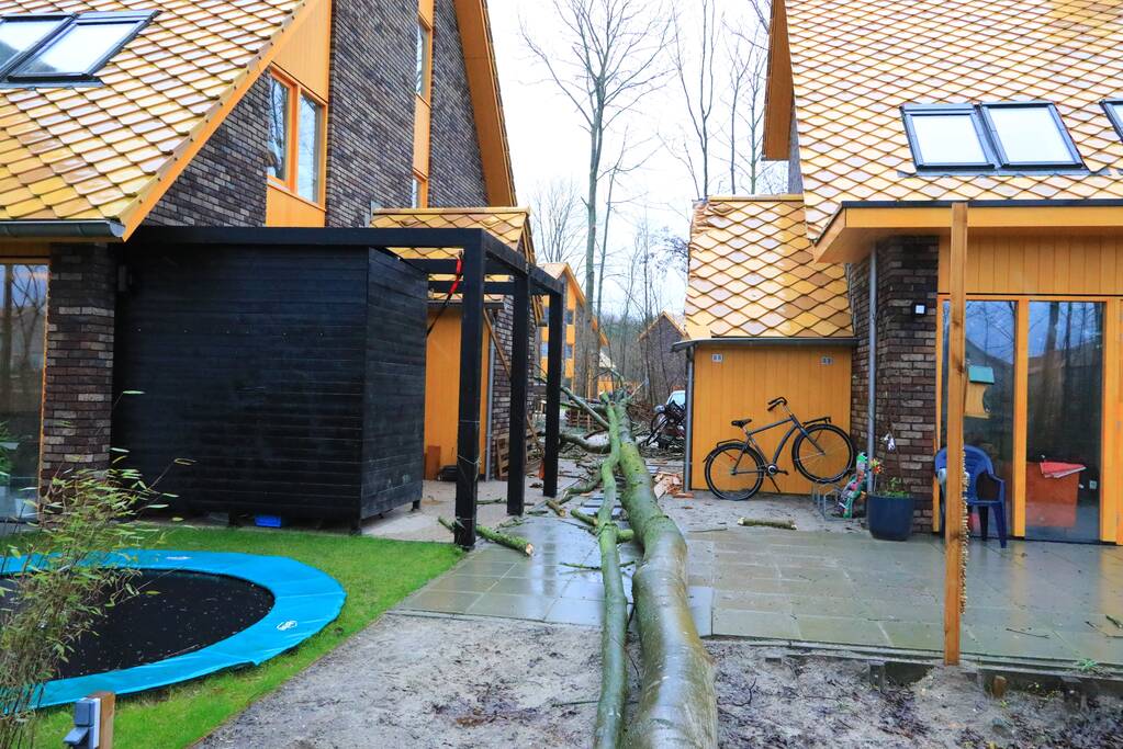 Boom waait om en beschadigt woningen, fietsen en auto