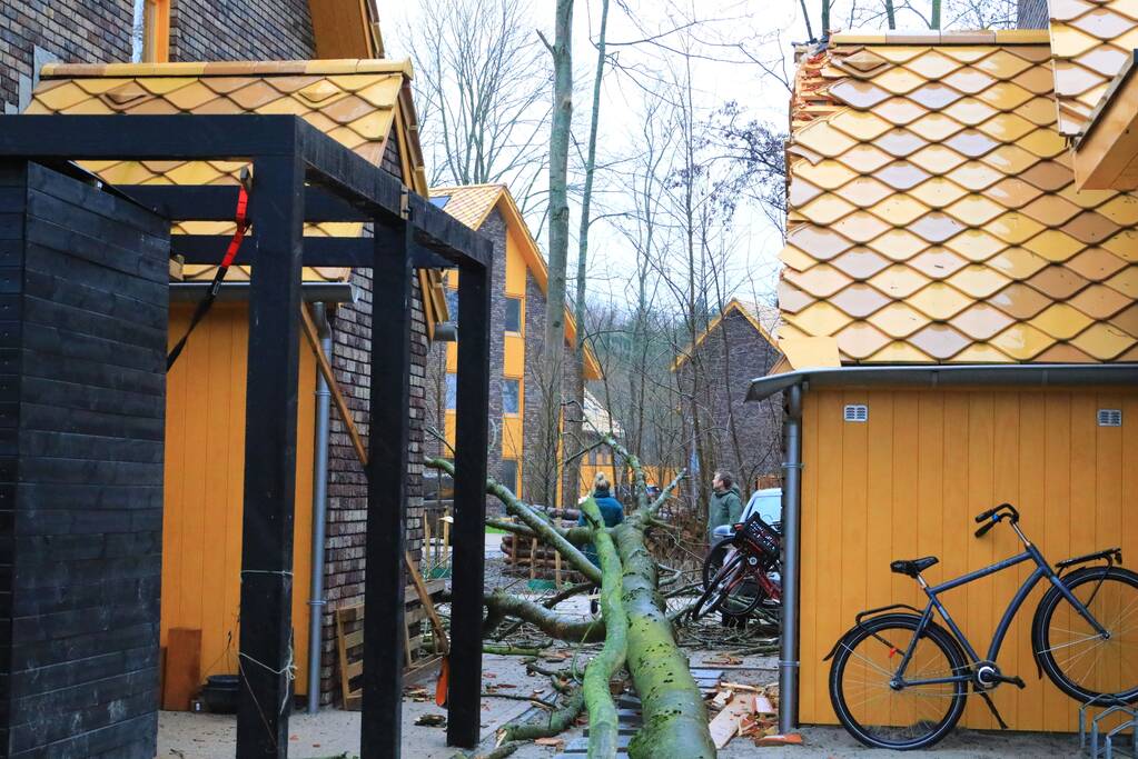 Boom waait om en beschadigt woningen, fietsen en auto