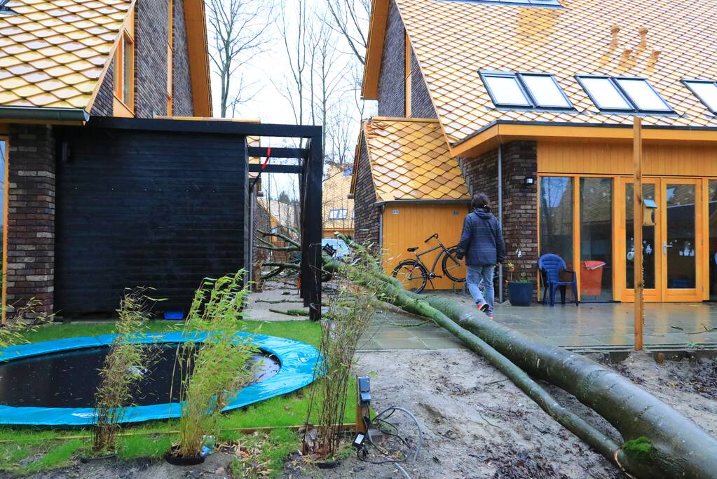 Boom waait om en beschadigt woningen, fietsen en auto