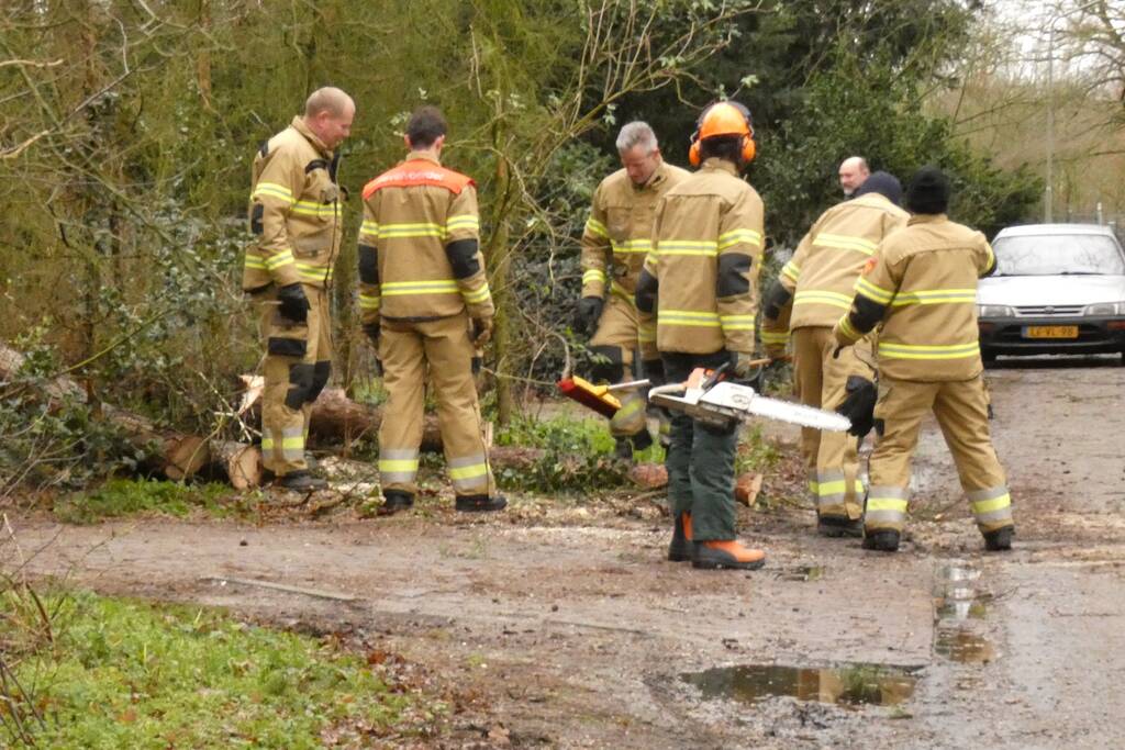 Brandweer zaagt omgewaaide boom in stukken
