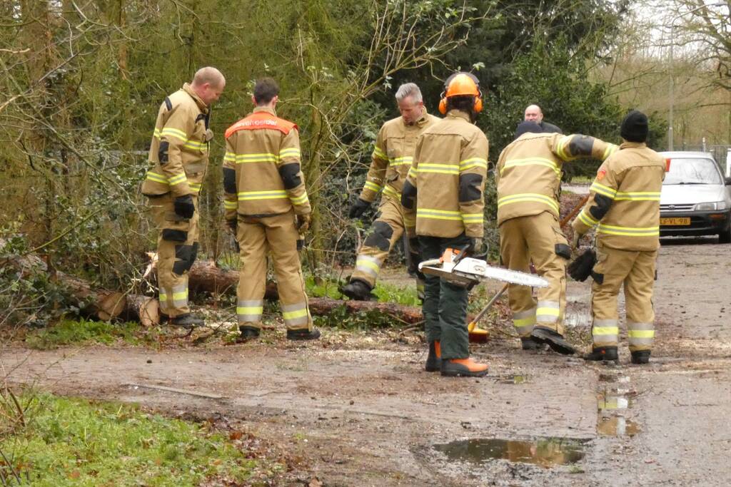 Brandweer zaagt omgewaaide boom in stukken