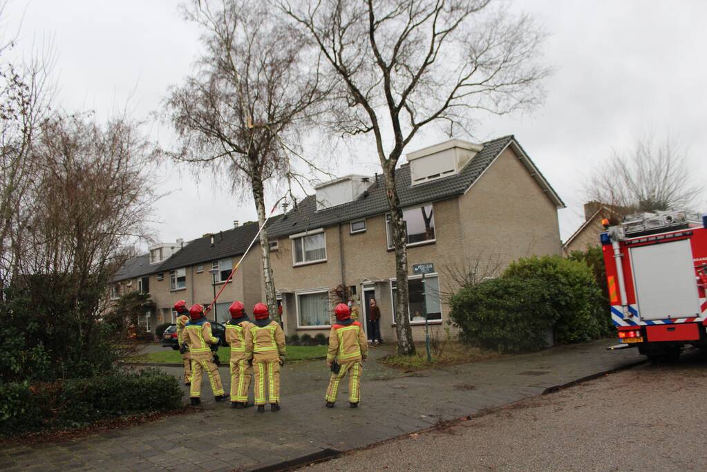 Brandweer zaagt loshangende tak uit boom