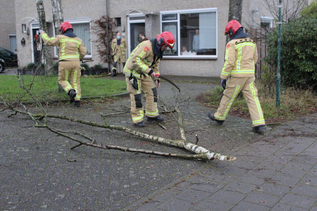 Brandweer zaagt loshangende tak uit boom