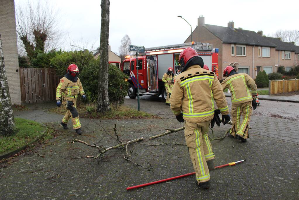 Brandweer zaagt loshangende tak uit boom