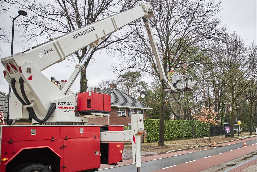 Brandweer verwijdert gevaarlijk hangende tak