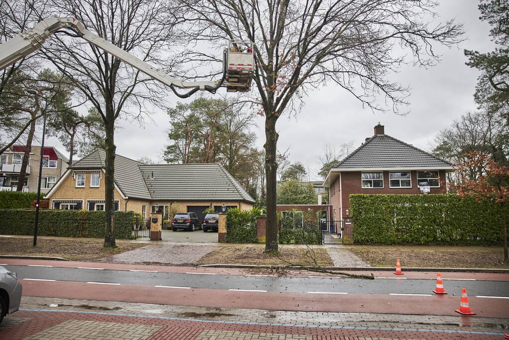 Brandweer verwijdert gevaarlijk hangende tak