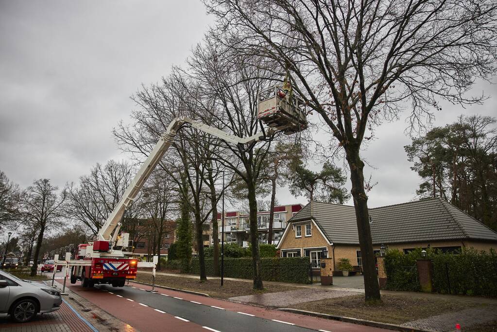 Brandweer verwijdert gevaarlijk hangende tak