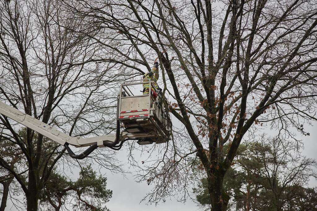 Brandweer verwijdert gevaarlijk hangende tak