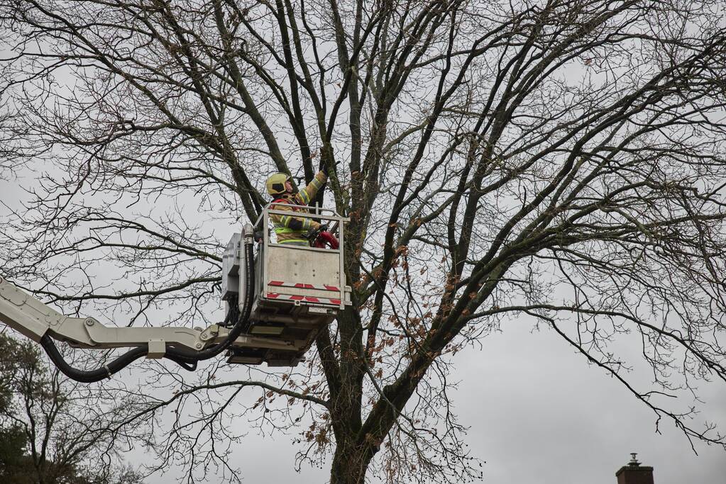 Brandweer verwijdert gevaarlijk hangende tak