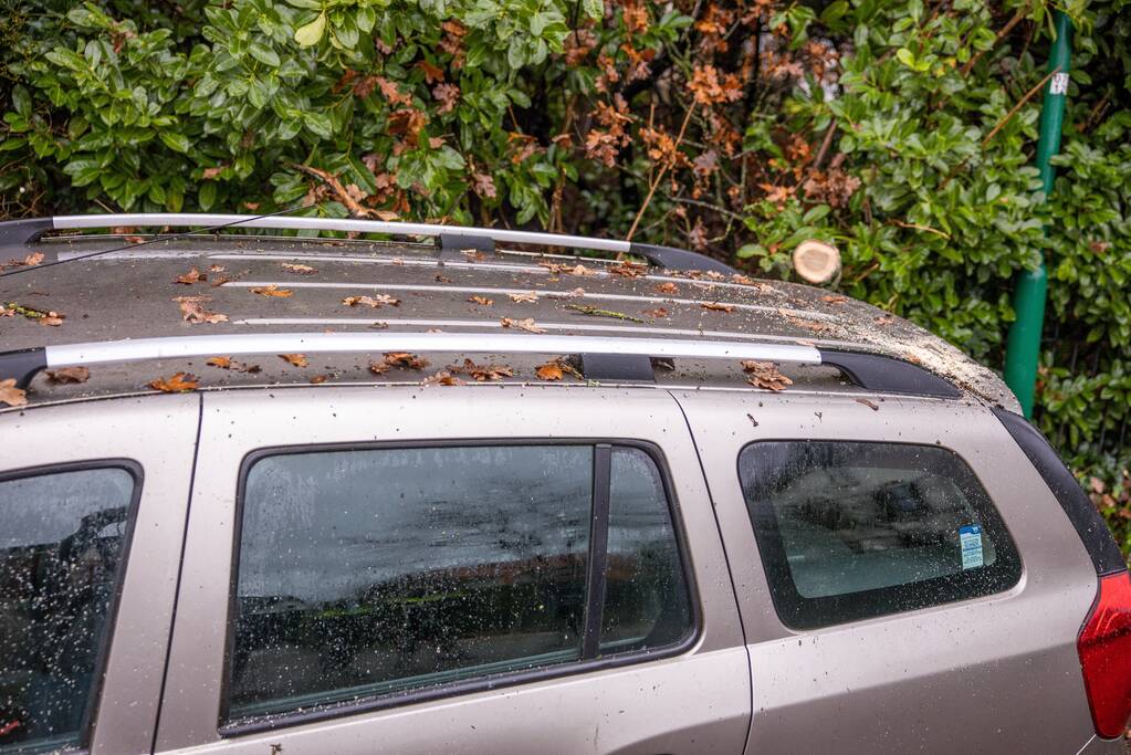 Enorme tak valt op dak van auto