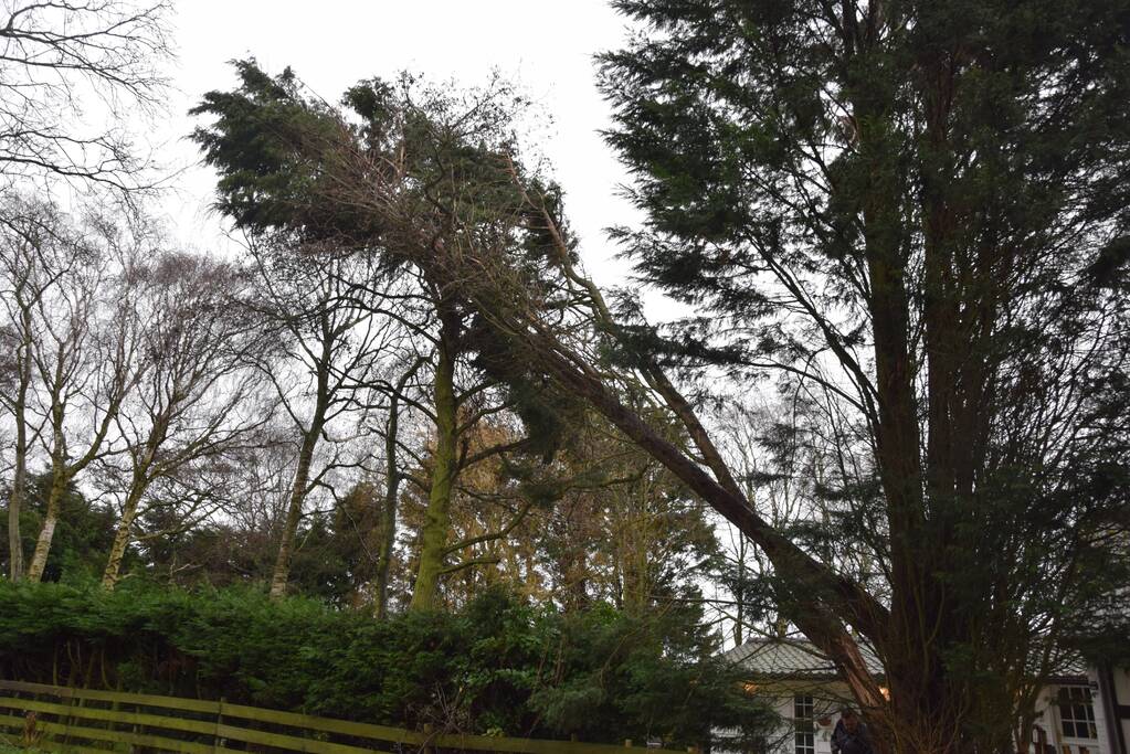 Takken dreigen op de weg te vallen