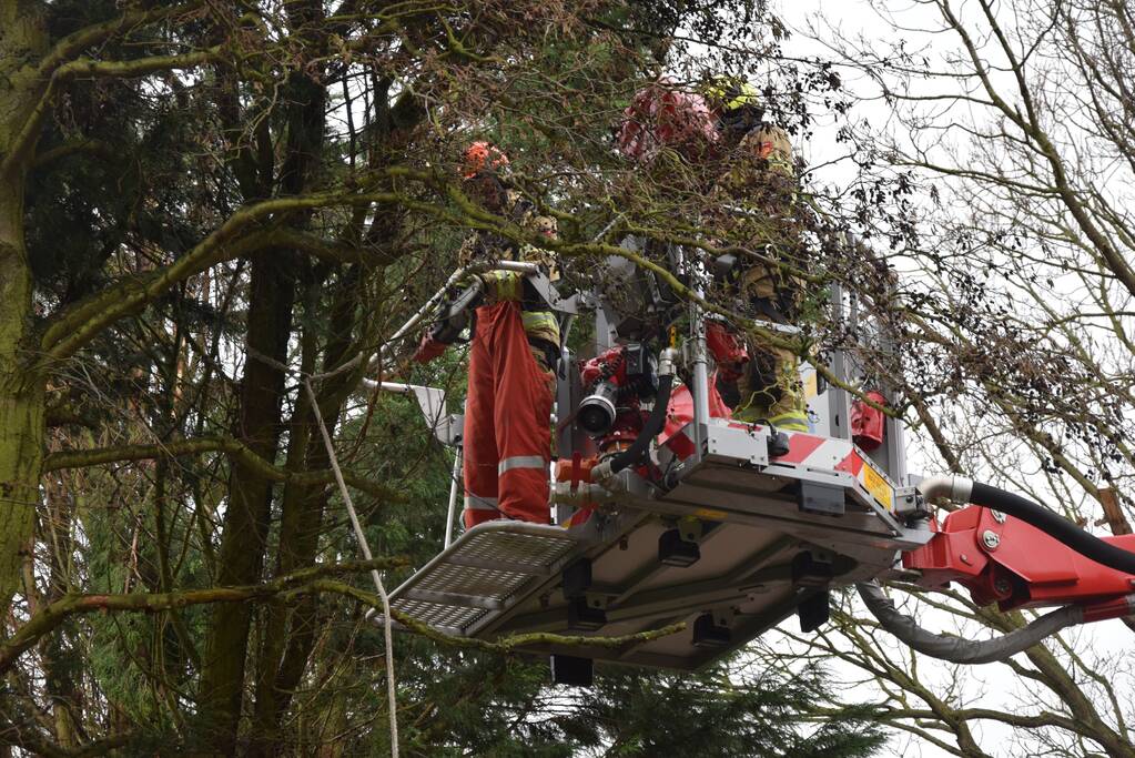 Takken dreigen op de weg te vallen