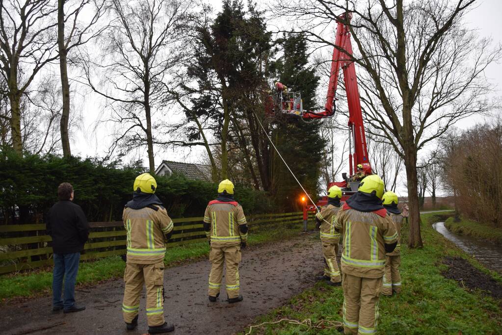 Takken dreigen op de weg te vallen