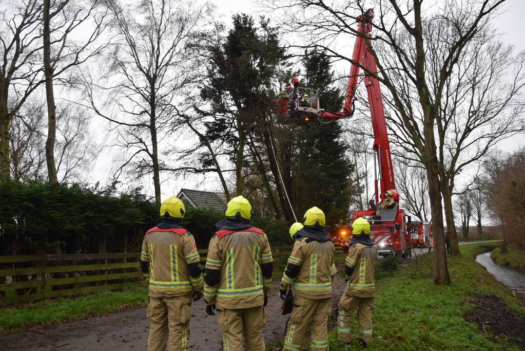 Takken dreigen op de weg te vallen