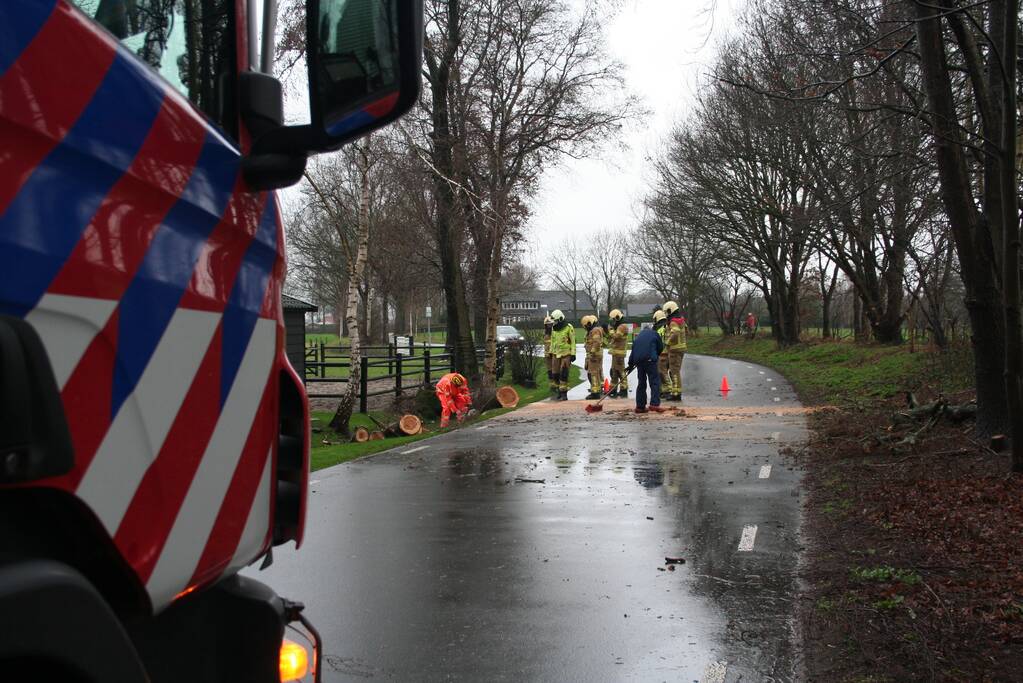 Omgewaaide boom eindigt op de weg