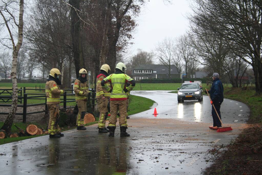 Omgewaaide boom eindigt op de weg