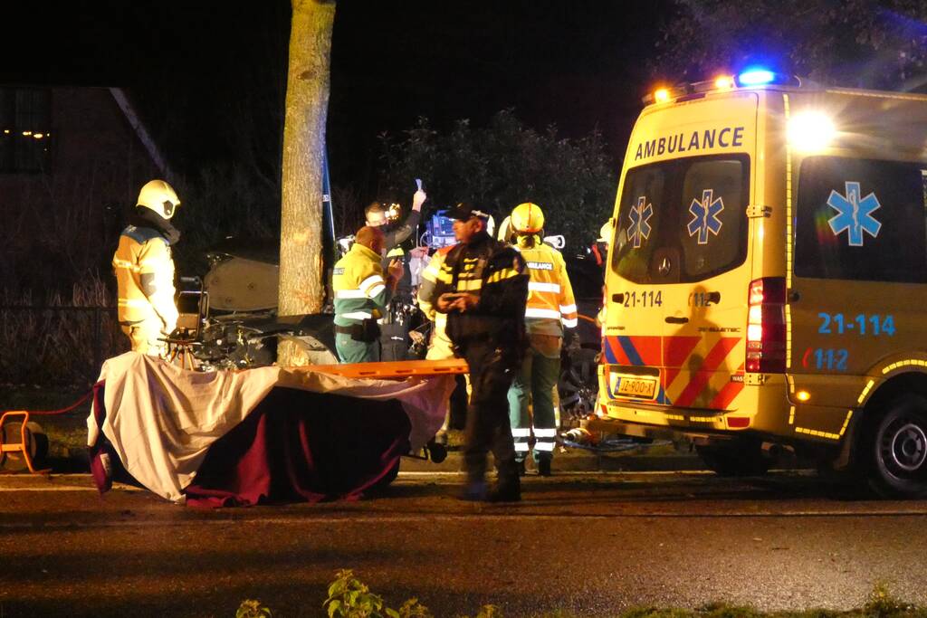 Auto knalt frontaal tegen boom