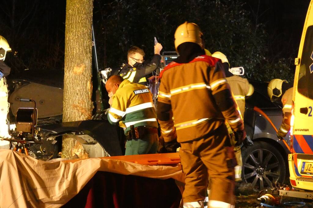 Auto knalt frontaal tegen boom