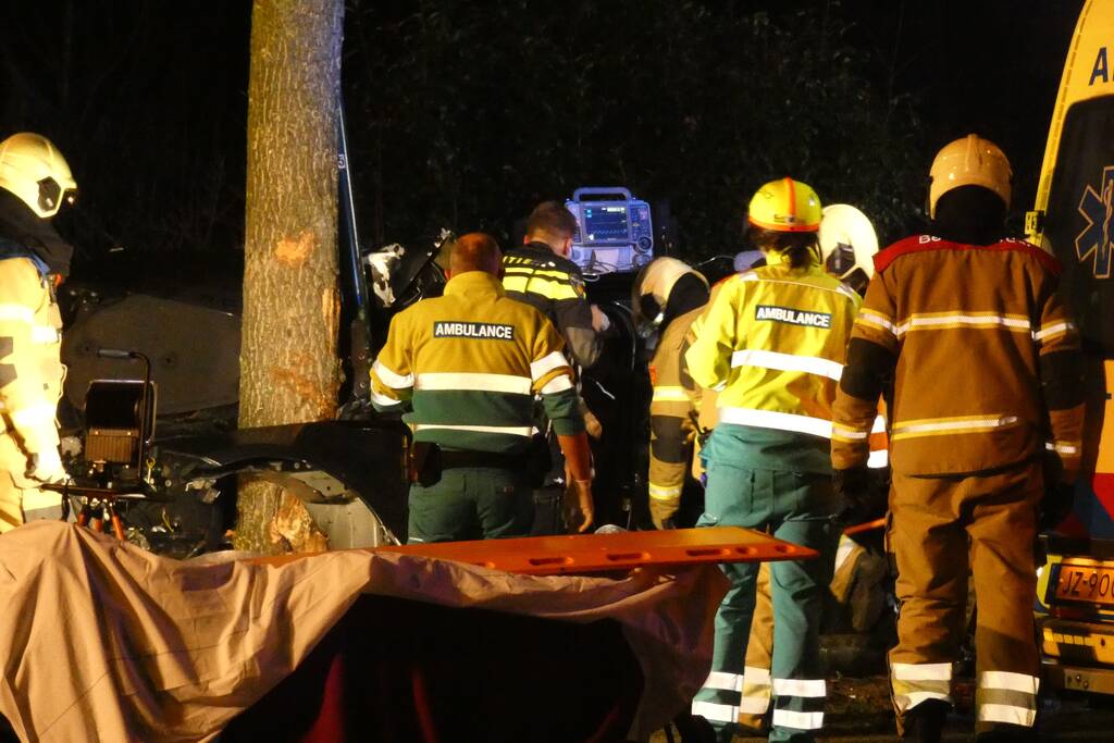 Auto knalt frontaal tegen boom