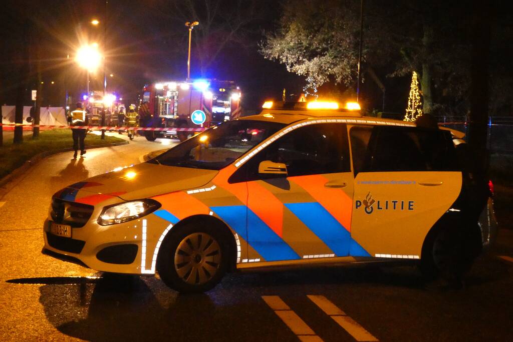 Auto knalt frontaal tegen boom