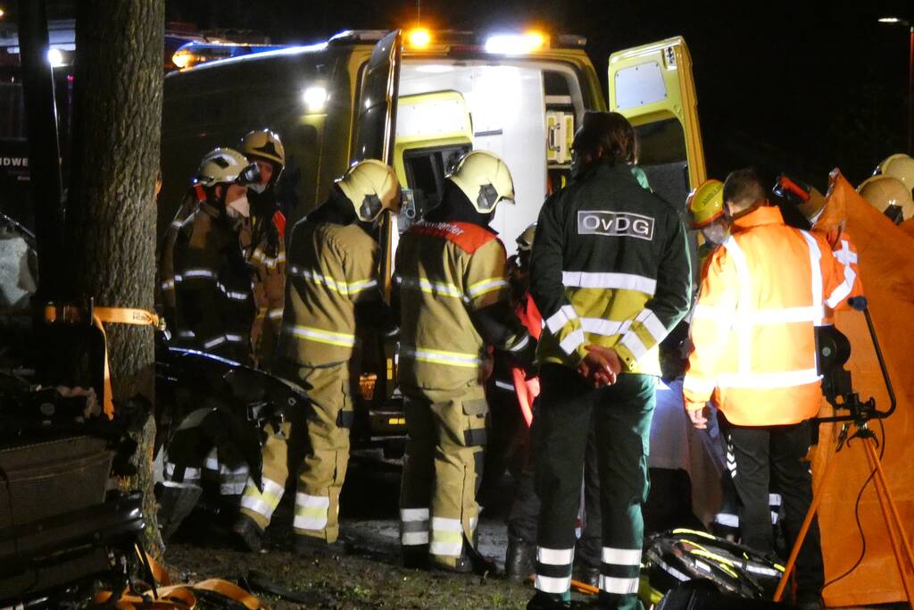 Auto knalt frontaal tegen boom