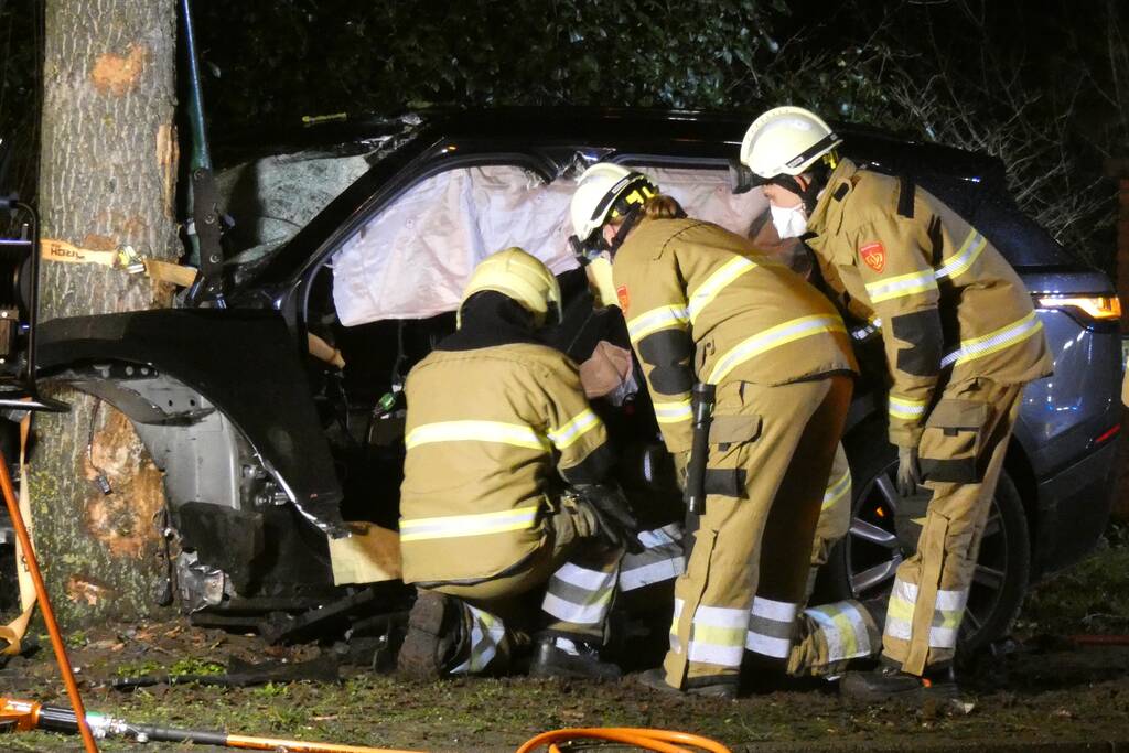 Auto knalt frontaal tegen boom