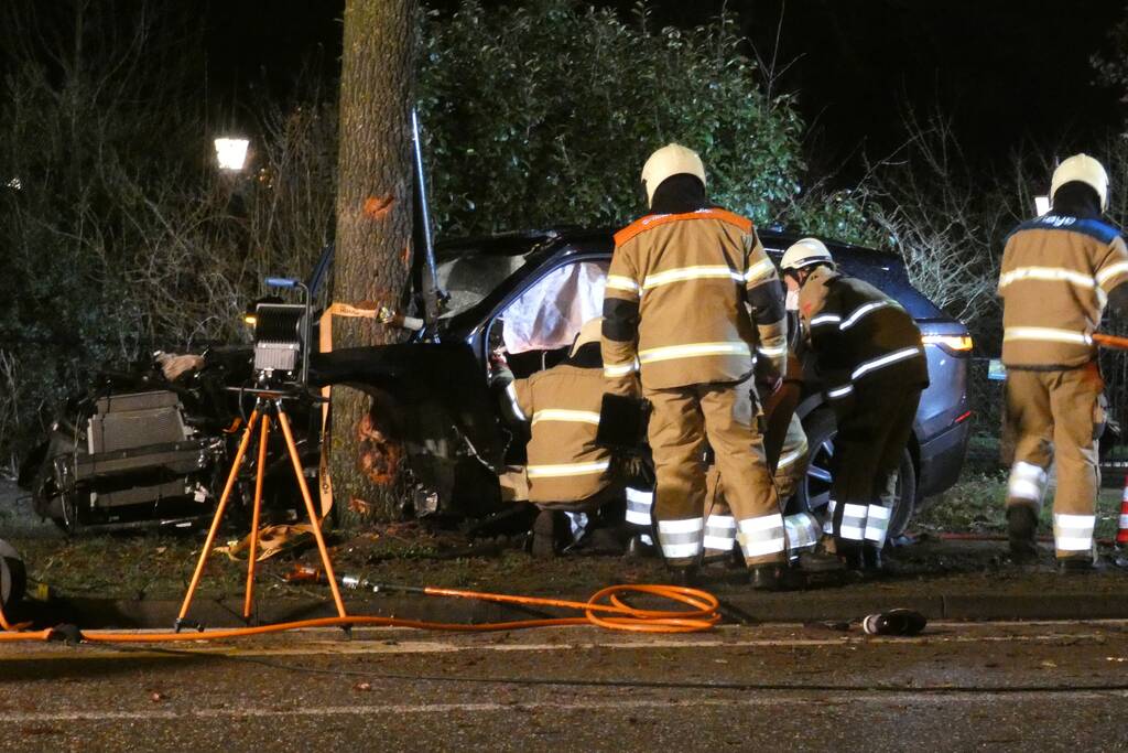 Auto knalt frontaal tegen boom