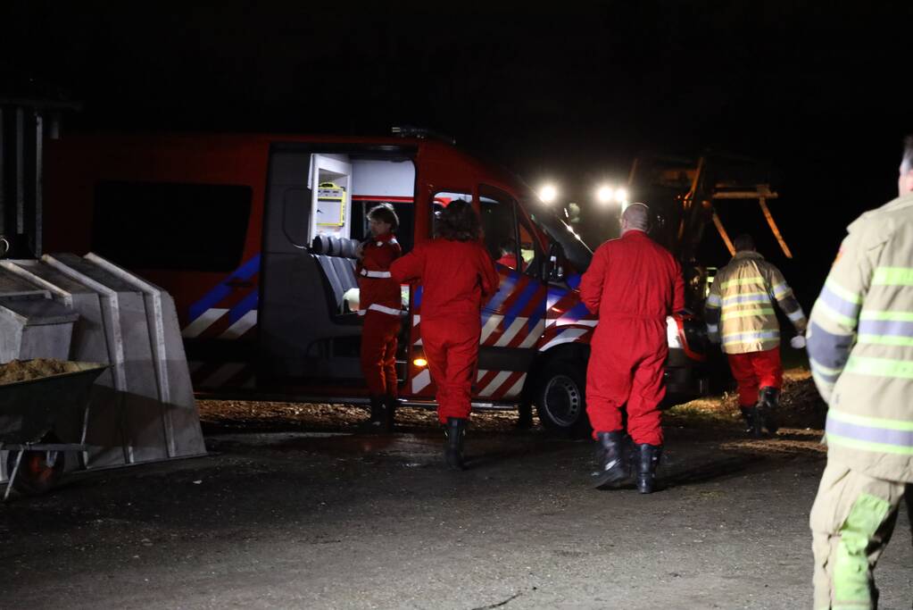 Koe zit vast tussen vier giertegels