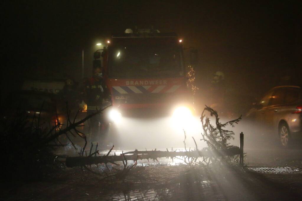 Kerstbomen in brand op kruising