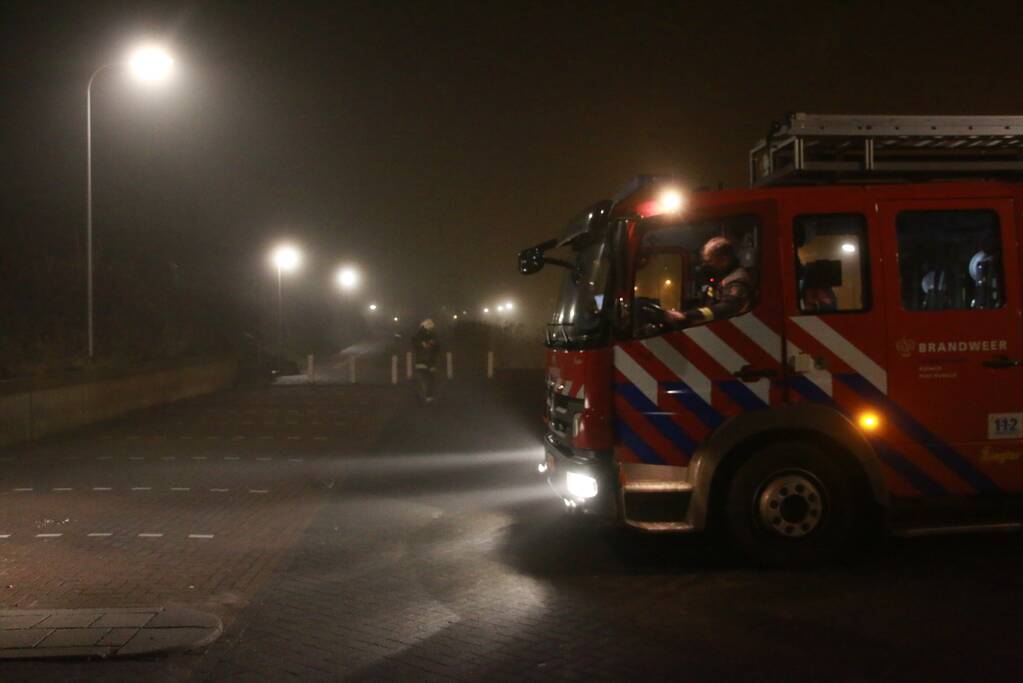Meerdere kerstbomen in brand gestoken