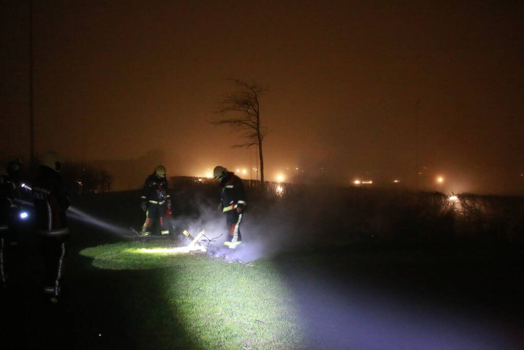 Meerdere kerstbomen in brand gestoken