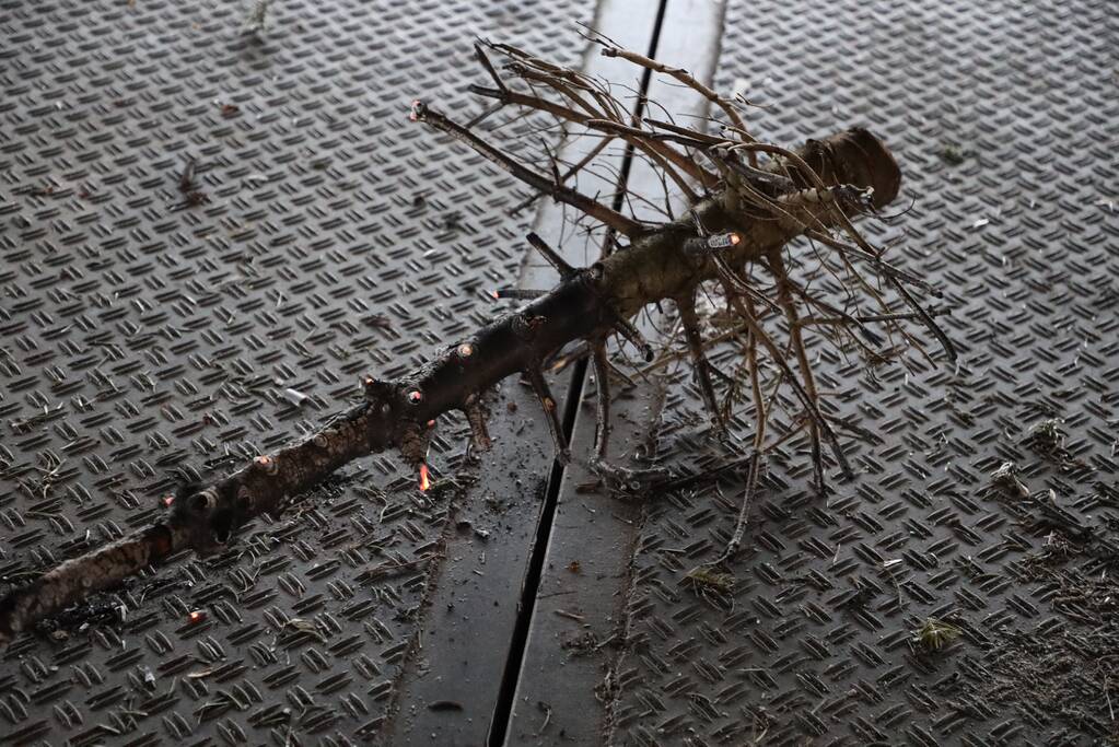 Kerstbomen in brand gestoken in parkeergarage