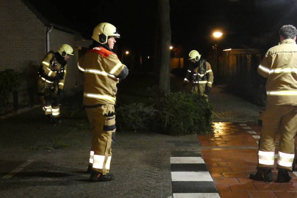 Kerstbomen in brand gestoken