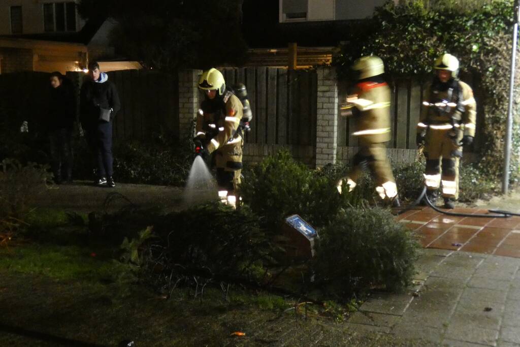 Kerstbomen in brand gestoken