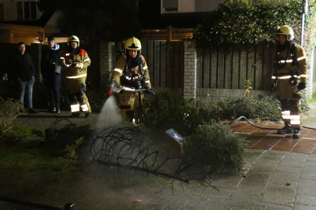 Kerstbomen in brand gestoken