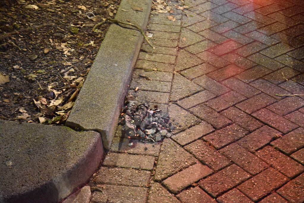 Opgehoopt roet in schoorsteen zorgt voor brand