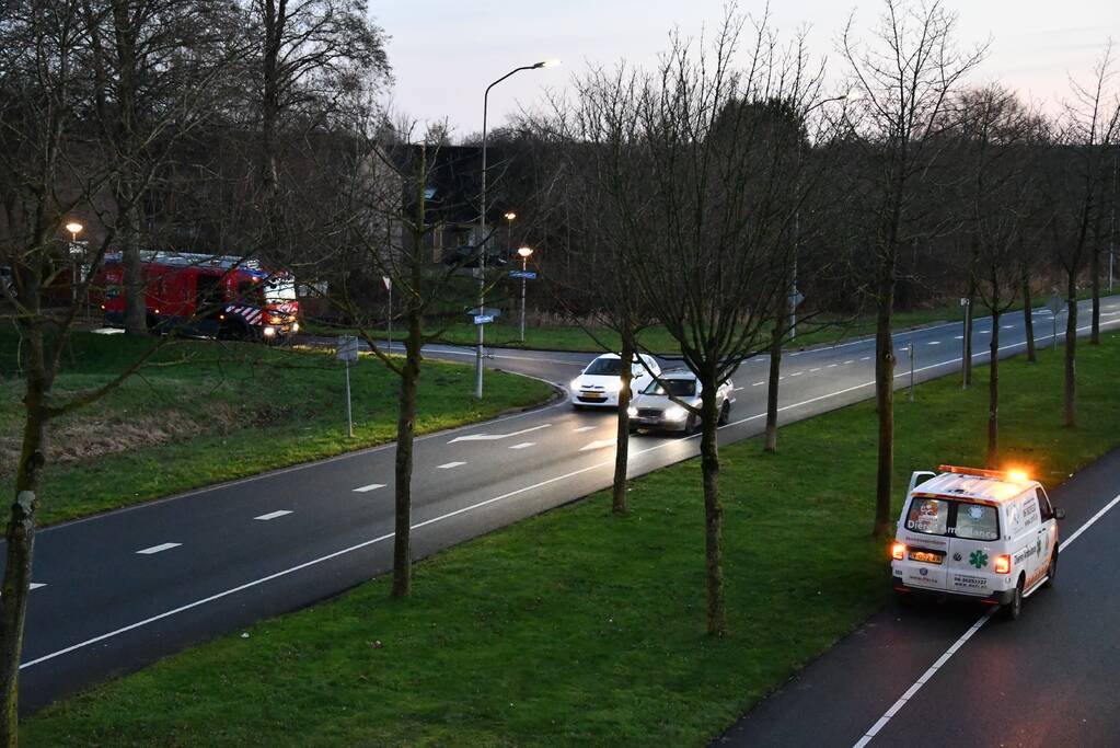 Gewonde zwaan vliegt weg na vangpoging