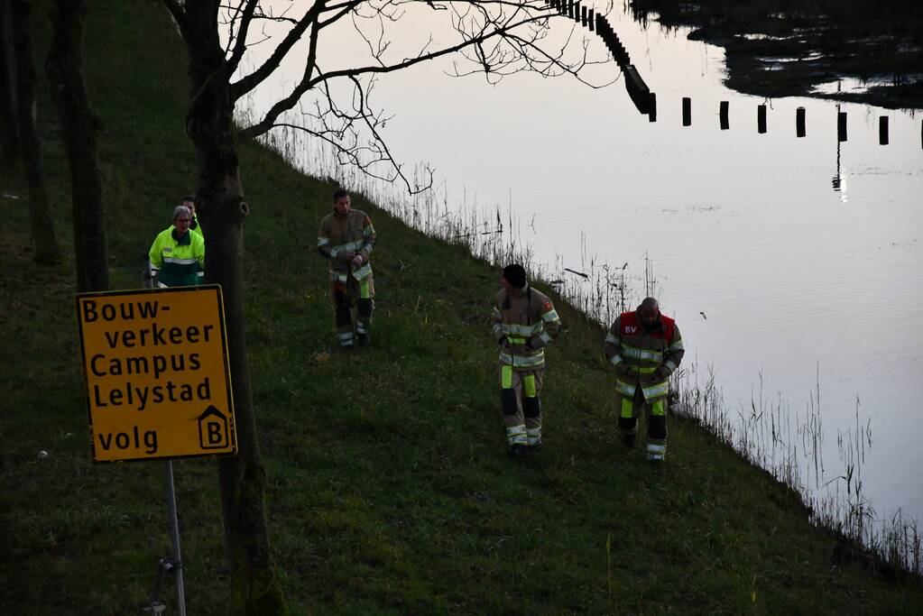 Gewonde zwaan vliegt weg na vangpoging
