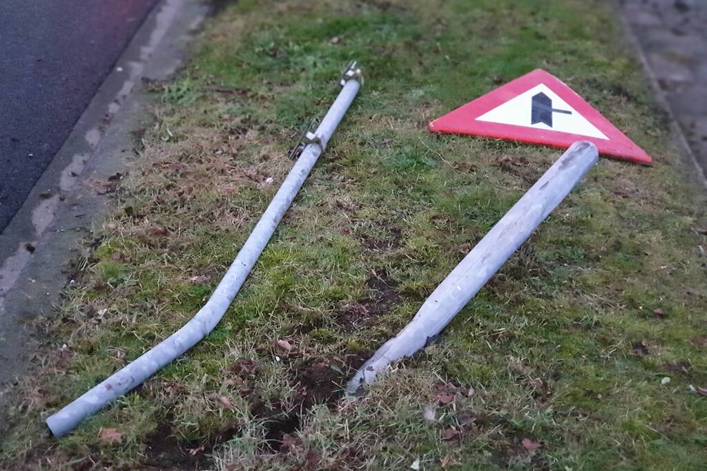 Bestuurder raakt macht over het stuur kwijt en ramt boom