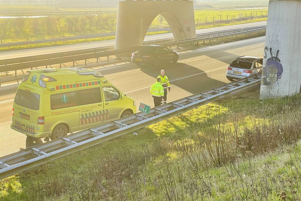 Zwaan overleden bij aanrijding met auto