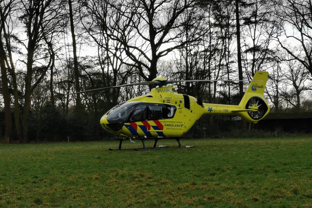 Boom op persoon gevallen in bosgebied