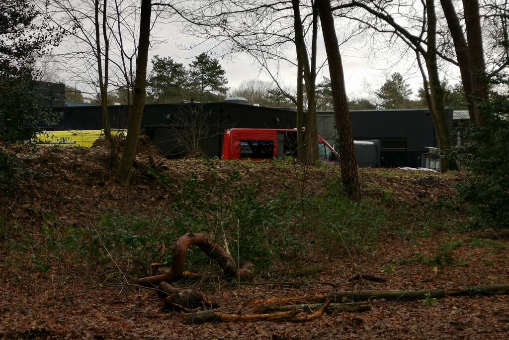 Boom op persoon gevallen in bosgebied