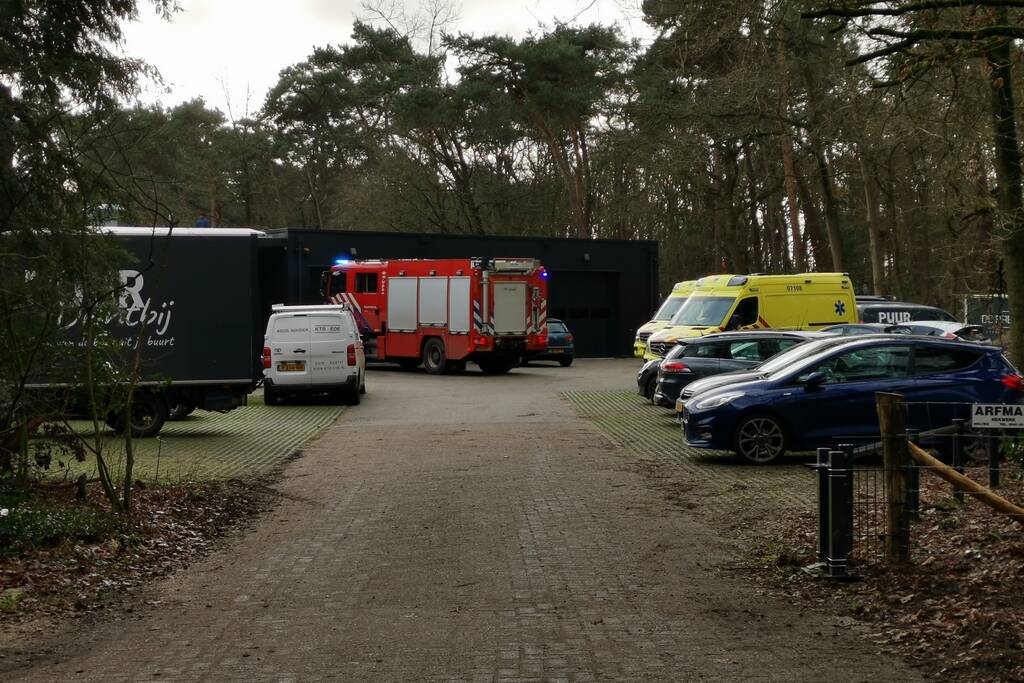 Boom op persoon gevallen in bosgebied