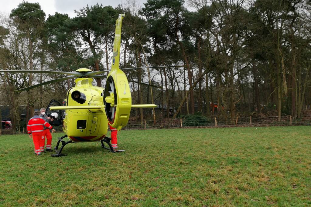 Boom op persoon gevallen in bosgebied